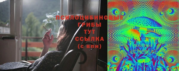 винт Артём