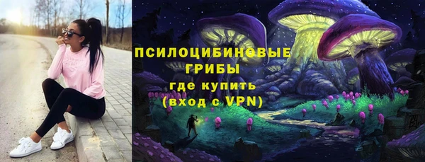 spice Алзамай