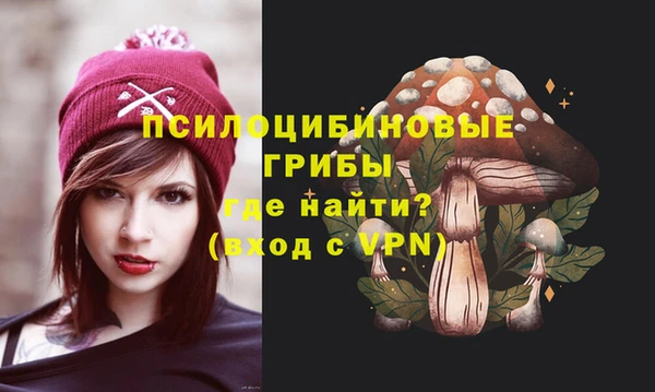 spice Алзамай