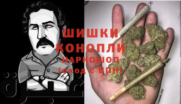 spice Алзамай