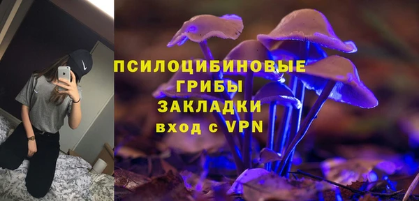 spice Алзамай